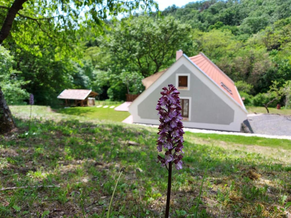 Kosbor Vendeghaz Daire Monoszlo Dış mekan fotoğraf