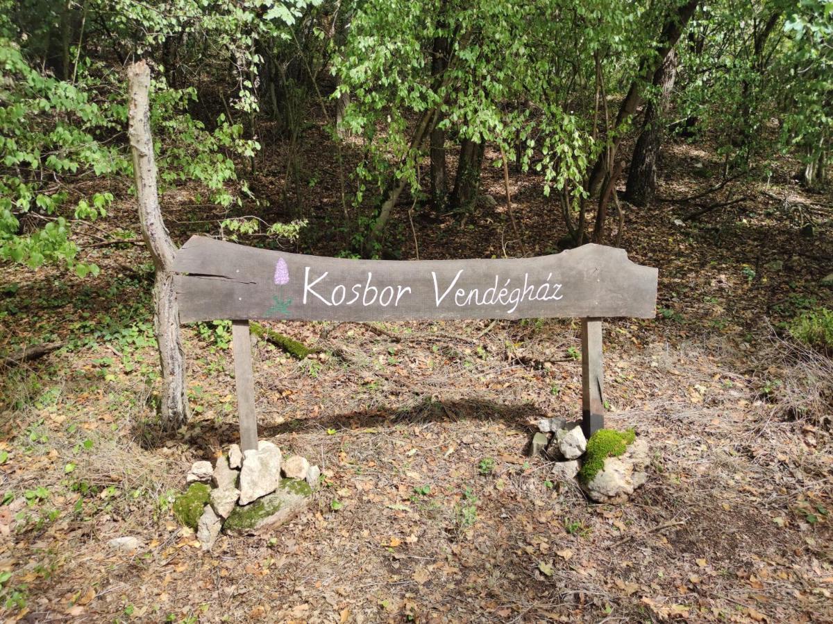 Kosbor Vendeghaz Daire Monoszlo Dış mekan fotoğraf