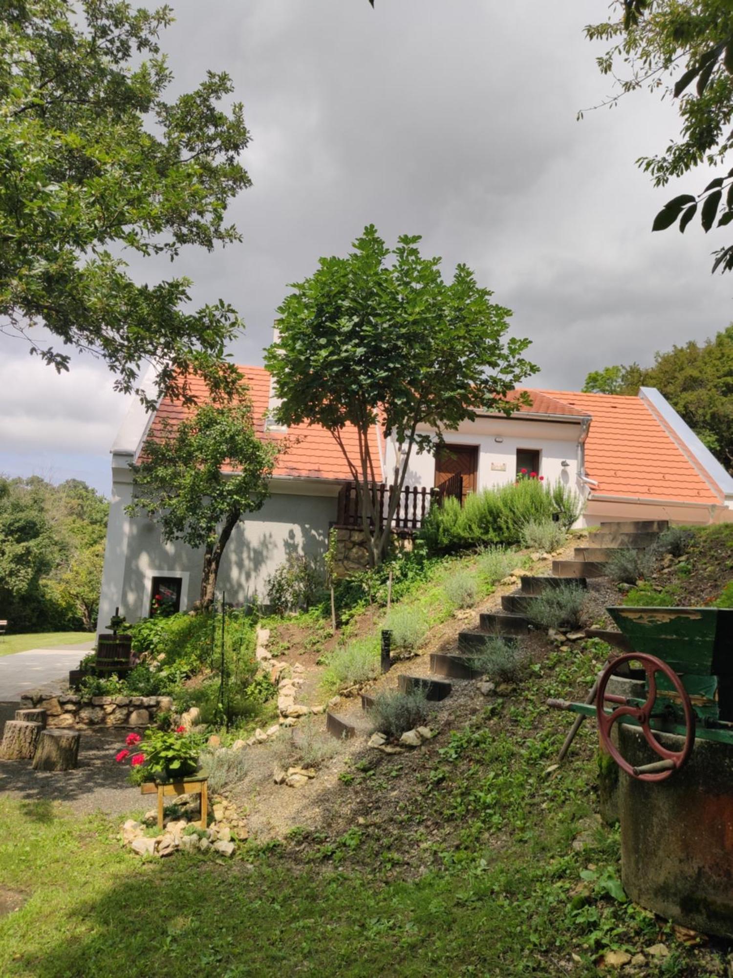 Kosbor Vendeghaz Daire Monoszlo Dış mekan fotoğraf