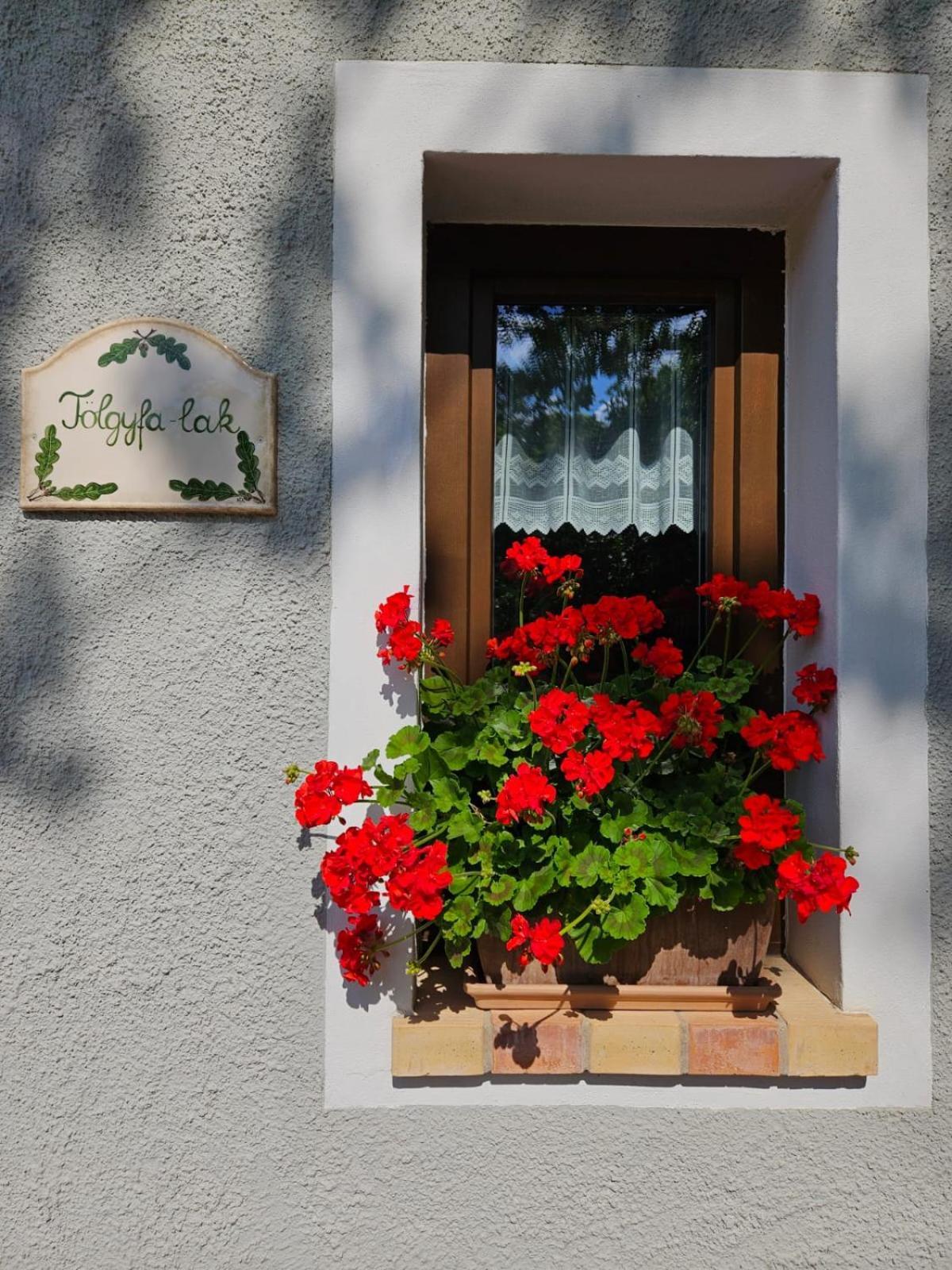 Kosbor Vendeghaz Daire Monoszlo Dış mekan fotoğraf