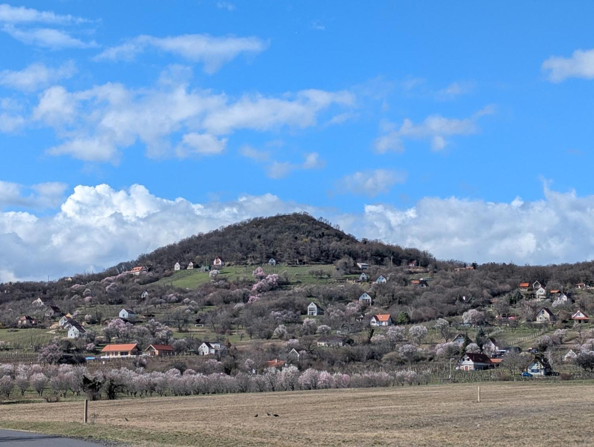 Kosbor Vendeghaz Daire Monoszlo Dış mekan fotoğraf